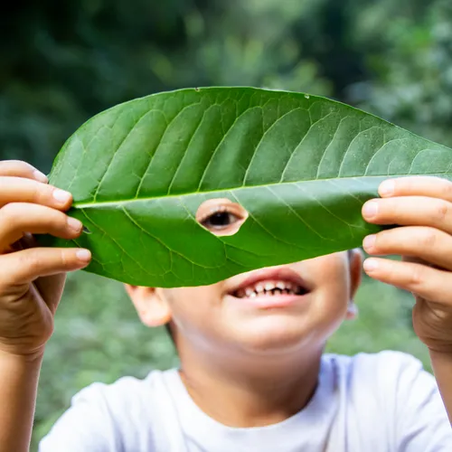 Criança observando a natureza de perto